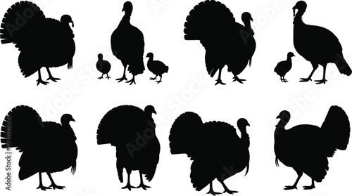 Title: Turkey silhouette collection, wild bird poses, black vector turkeys, nature illustration, feathered animal design, wildlife graphic, farm bird art