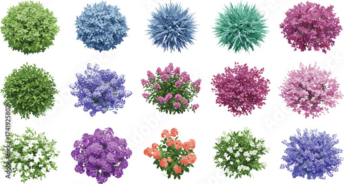 Colorful garden bushes, decorative flowers, landscape plants, nature foliage, spring blossoms, outdoor greenery, floral shrubs, park vegetation, natural design elements