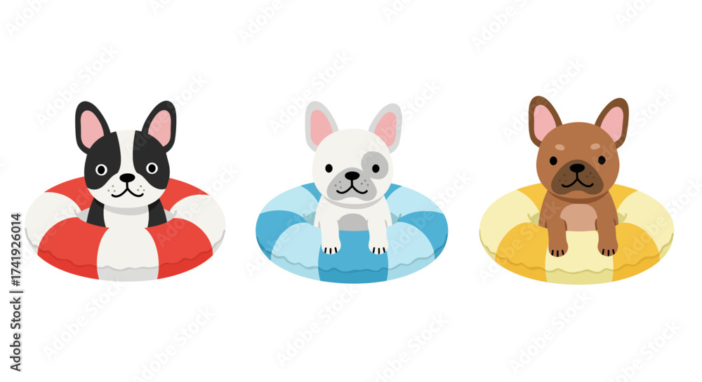 Fototapeta premium Adorable french bulldog and chihuahua puppies in colorful inflatable rings ready for summer fun on white isolated on white background
