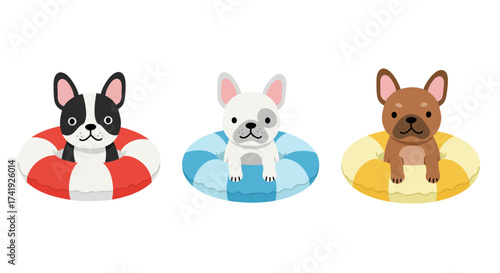 Adorable french bulldog and chihuahua puppies in colorful inflatable rings ready for summer fun on white isolated on white background