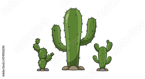 Photos Three green cacti of varying sizes displayed together outdoors representing dese