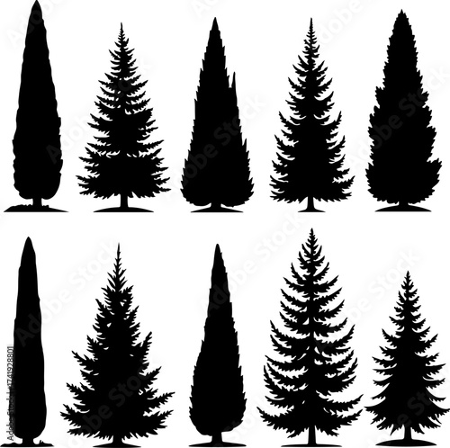 Cypress Tree Silhouette Collection