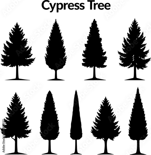Cypress Tree Silhouette Collection