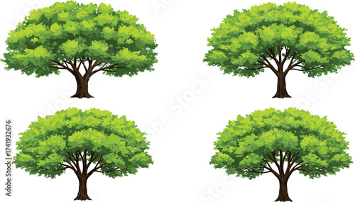 Four green leafy trees illustration, natural environment design, eco friendly forest landscape, summer garden plants, outdoor nature elements, decorative foliage backgroundFour green leafy trees 
