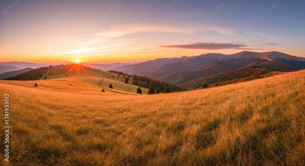Obraz premium Expansive golden grass field bathed in warm sunset light over layered mountain ranges