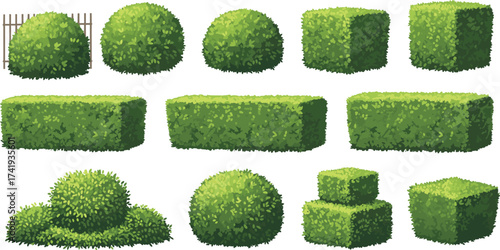 Green bushes and hedges collection, trimmed topiary plants, decorative garden shrubs, outdoor landscaping greenery, natural foliage, park backyard design illustration.Green bushes and hedges 