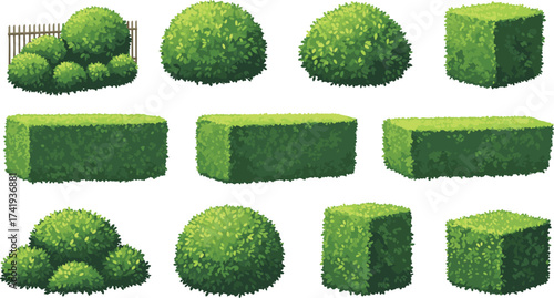 Green garden bushes and hedges collection, trimmed topiary plants, outdoor landscaping greenery, decorative shrubs, natural foliage design, park backyard nature.