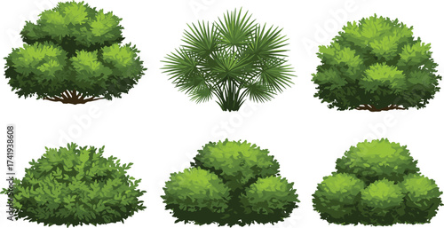 Green garden shrubs, tropical bush plants, ornamental foliage, landscaping hedges, decorative greenery, natural outdoor plants, lush vegetation, botanical illustration, vibrant nature