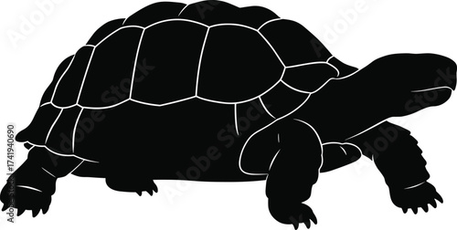 Tortoise silhouette vector illustration, black turtle graphic, wildlife animal design, reptile shell pattern, nature clipart for educational and artistic use