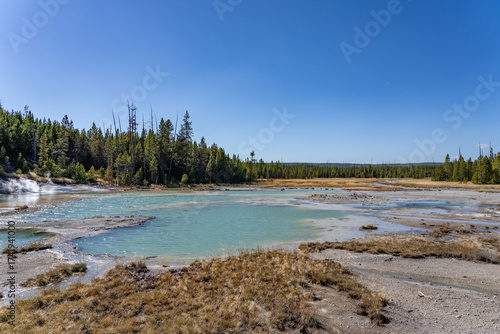 Bild auf Leinwand Porcelain Basin subbasin of Norris Geyser Basin, Yellowstone National Park, Wyoming