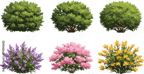Green shrubs, colorful flowering bushes, spring garden plants, vibrant blossoms, outdoor landscaping decoration, seasonal foliage, natural hedge design, decorative botanical illustration