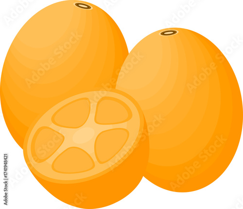 Illustration of Kumquats with Halved Fruit