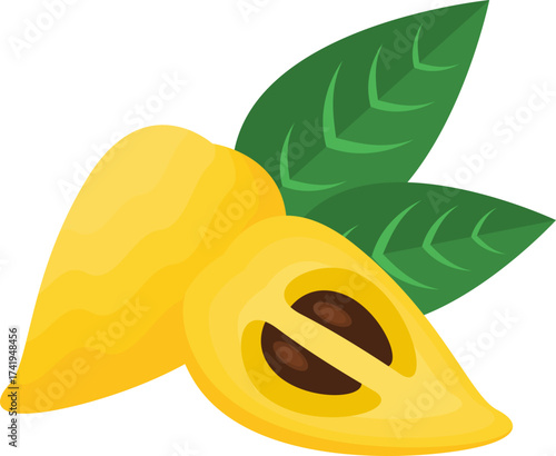 Lucuma Fruit Illustration with Leaves