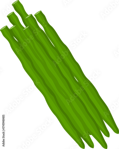Illustration of Green Beans