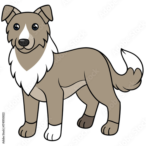 Cartoon Dog Illustration of a Border Collie standing still