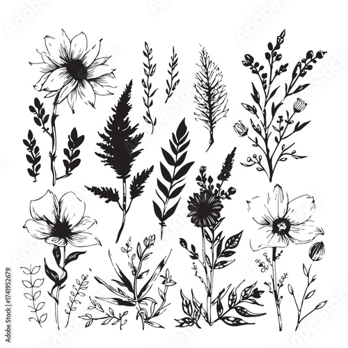 Flower brush hand-drawn vector set. Hand-drawn doodle flower, floral leaf elements in brush stroke ink style. Simple abstract botanical silhouette set for nature black paint art. Vector illustration.