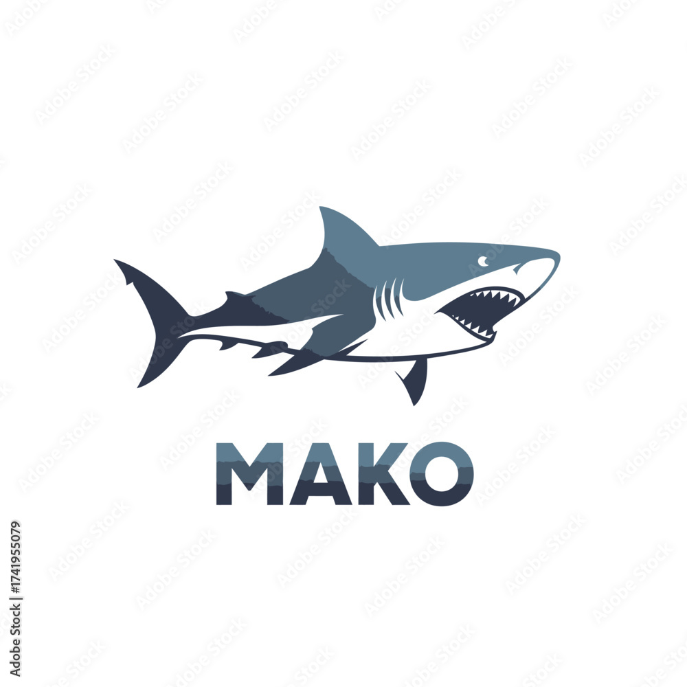 Fototapeta premium shark ocean fish predator mako animal water sea underwater wildlife