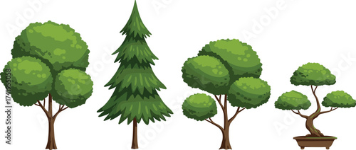 Set of cartoon style trees including pine and bonsai, green forest elements, natural park vegetation, eco nature landscape vector illustration