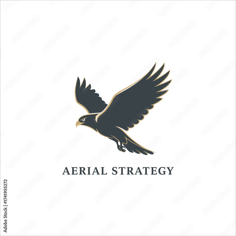 Fototapeta premium air strategy eagle patriotic best air force outdoor identity