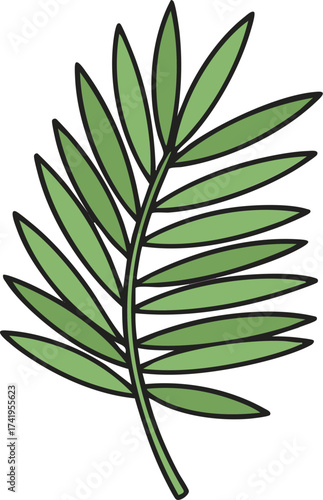 Palm Leaf Illustration