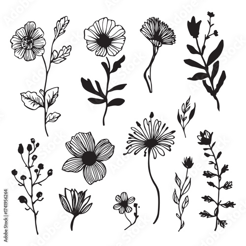 Flower brush hand-drawn vector set. Hand-drawn doodle flower, floral leaf elements in brush stroke ink style. Simple abstract botanical silhouette set for nature black paint art. Set of vector icons. 