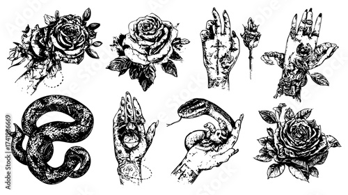 A collection of tattoo designs featuring roses, hands, and a snake, showcasing intricate line work and shading