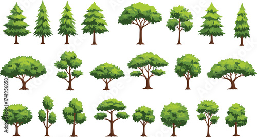 Set of cartoon trees, pine trees, green foliage, summer forest, deciduous plants, outdoor garden design, ecology nature element, landscape illustrationSet of cartoon trees, pine trees, green 