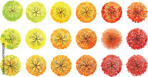 Top view autumn trees illustration, colorful seasonal foliage, gradient leaves in green, yellow, orange, and red shades for nature design.