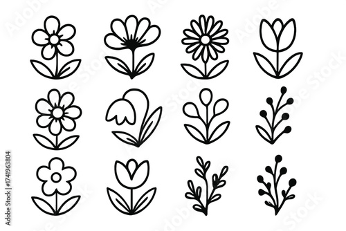 Flower doodle vector illustration set. Hand drawn botanical elements collection. Cute simple floral plant leaf branch line art icons. Minimalist scandi design for decoration.