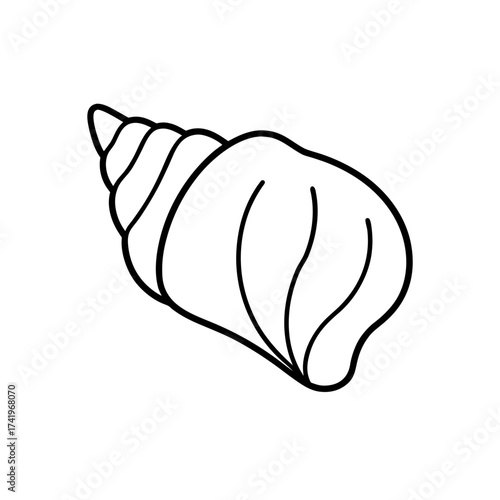 Simple outline drawing of shell on transparent background