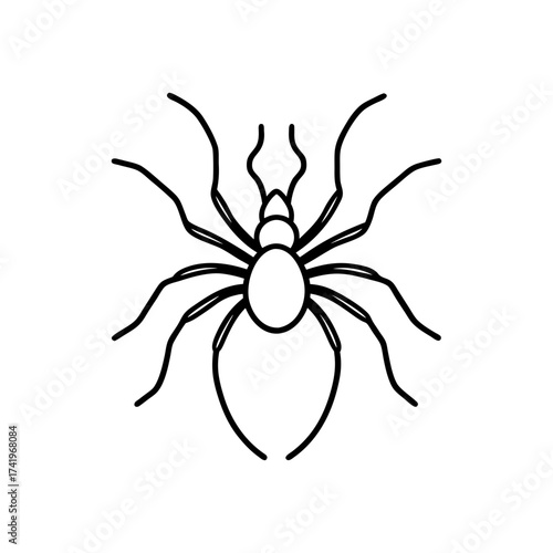 Outline drawing of a spider on transparent background