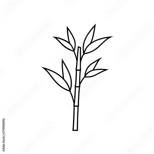 Simple bamboo stalk with leaves on transparent background