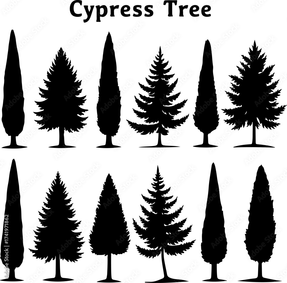 Naklejka premium Cypress Tree Silhouette Bundle