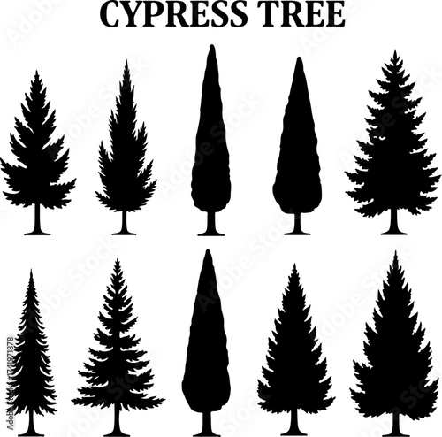 Cypress Tree Silhouette Bundle