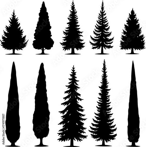 Cypress Tree Silhouette Bundle