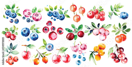 watercolor gooseberries, blueberries, cranberries, cherries berry set with green leaves illustration hand drawn berries clip art