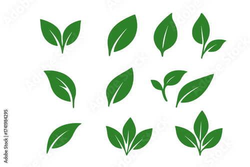 Green leaf icon set. Nature symbol collection. Vector illustration of leaves, plant, sprout, and foliage. Eco, bio, organic, and vegan food logo concept. Growth and ecology.