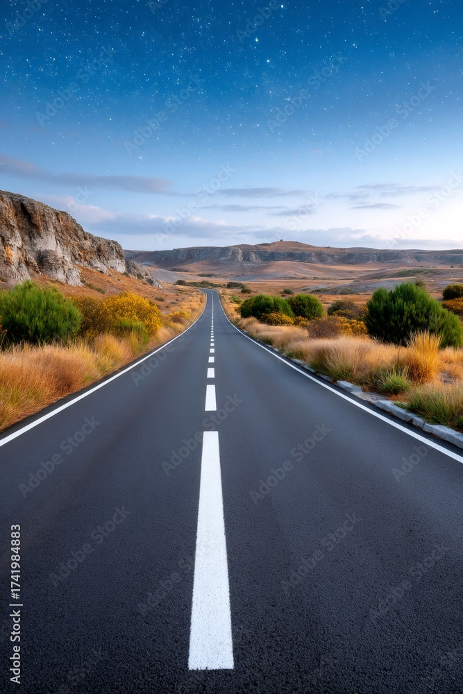 Naklejka premium Empty road winding through wild landscape under starry night