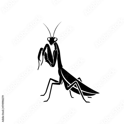 Praying Mantis Insect Silhouette Isolated on White Background 1.