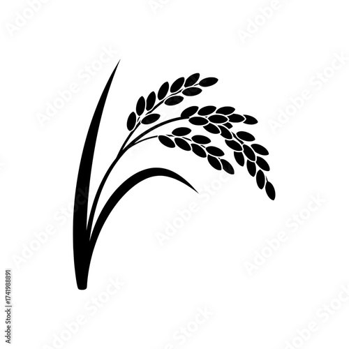 Black and white illustration of rice plant with grains and leaves.