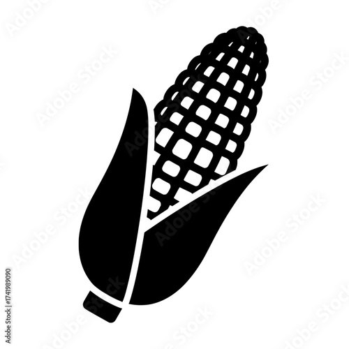 Freshly harvested corn on the cob with green leaves healthy food.