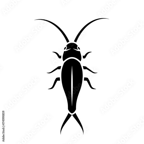 Silverfish insect black and white illustration simple insect design.