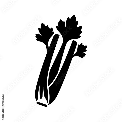 Fresh celery stalk with leaves healthy vegetable isolated on white background.