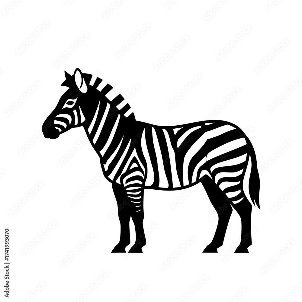 Fototapeta premium Striking black and white zebra illustration standing proudly on a white background.