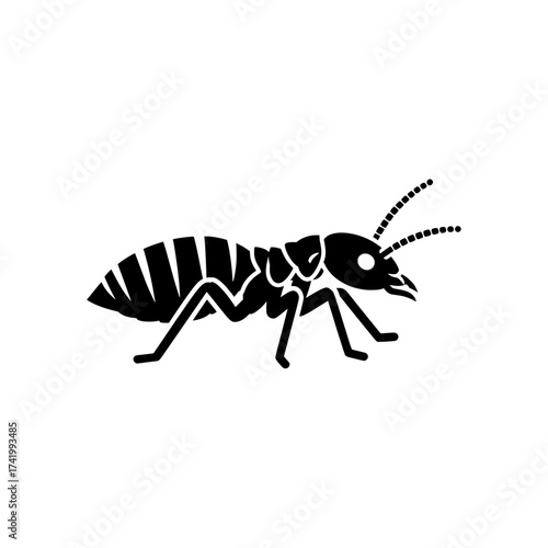 Black and white termite insect illustration on white background.