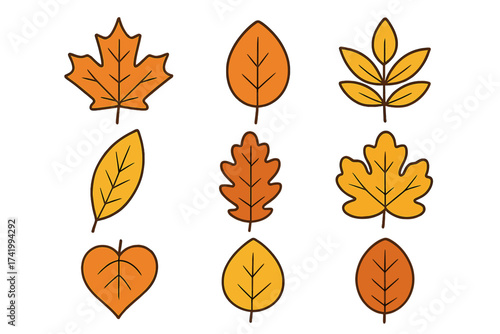 Autumn leaf icon set. Fall season symbol collection. Vector illustration pack of various leaves like maple, oak, ash. October nature foliage concept for seasonal decoration.