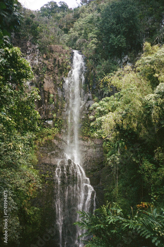 Secluded Maui waterfall pours into quiet, sunlit forest
