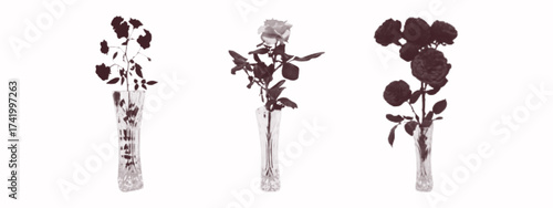 Glass vase with a bouquet of roses. Contemporary collage art, paper cutouts of floral arrangements. A branch of roses, glass vase, flowering plant in a vase. Composition, interior decoration. Vector.