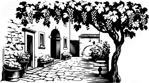 Courtyard with grapevine and lush plants. Simple black and white vector illustration of a serene rural landscape set in a stylish format.