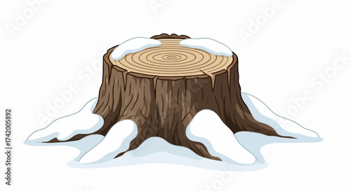 A tree stump covered with snow with rings visible on the top
